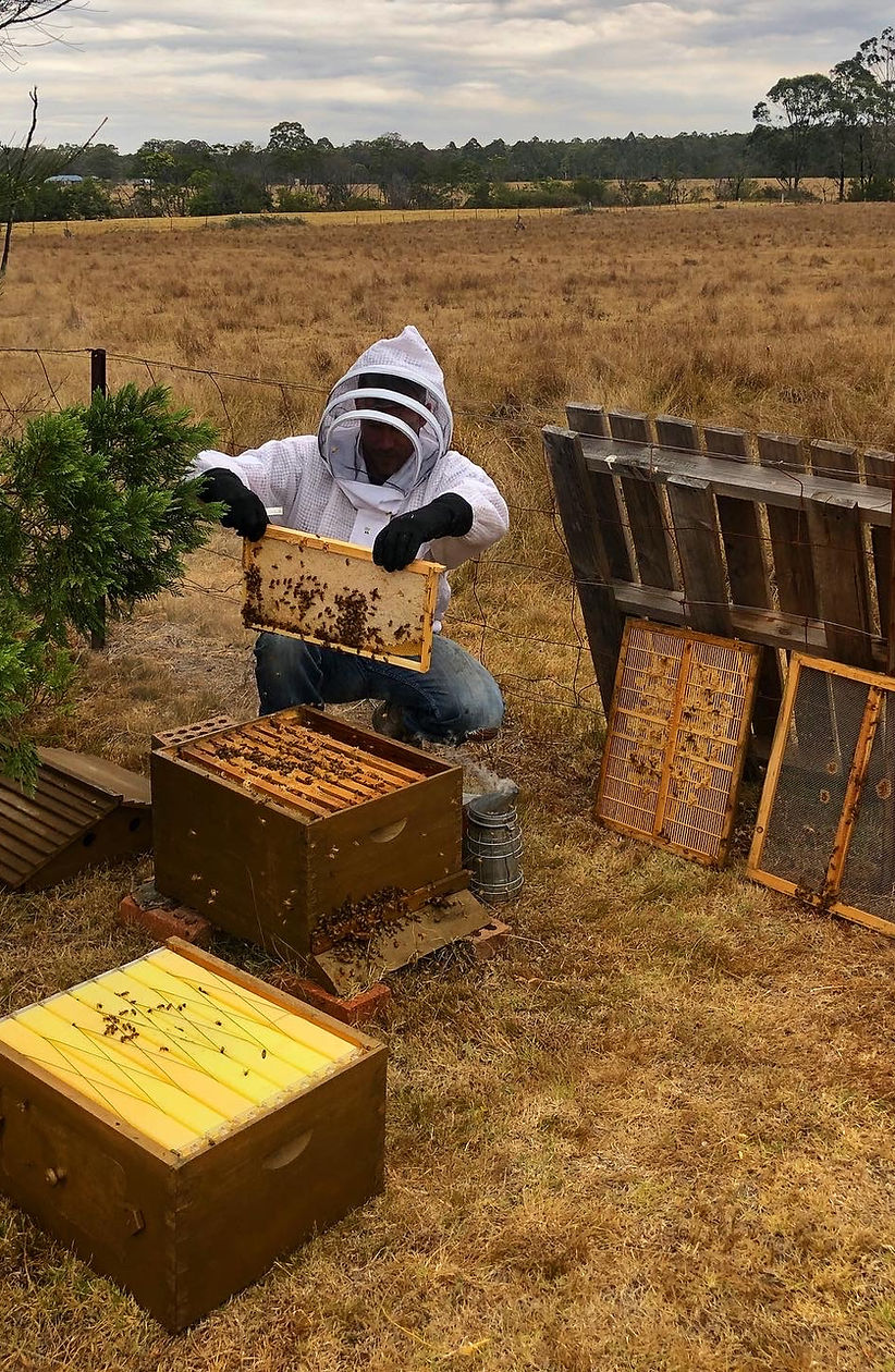 Beelonging - Getting you started in beekeeping